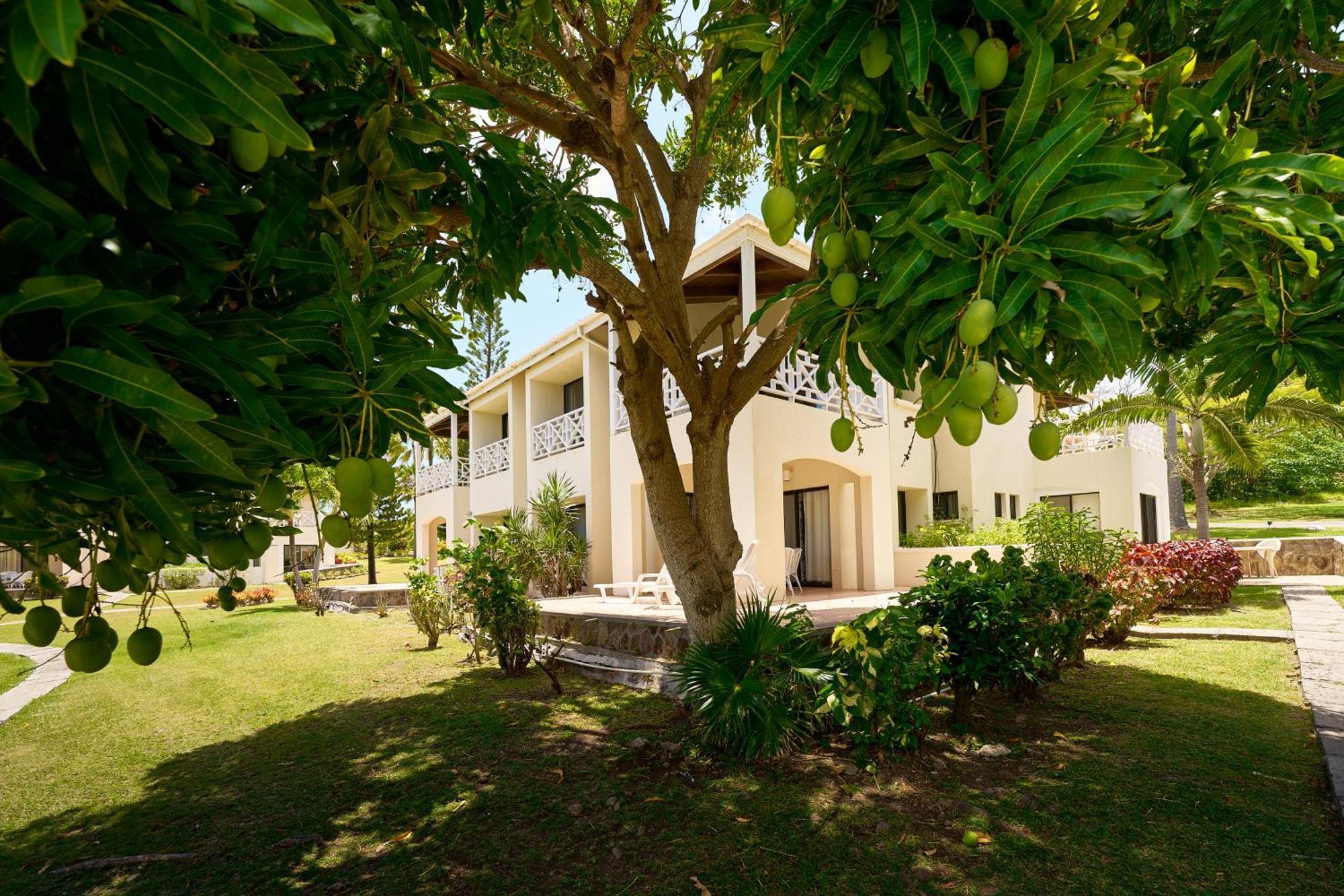 Mount Nevis Hotel ภายนอก รูปภาพ